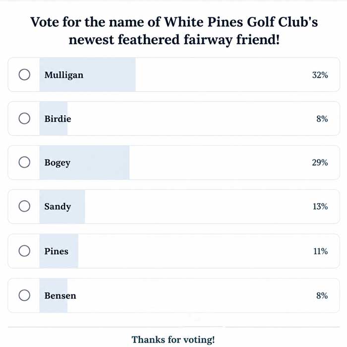 Mulligan